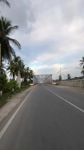 The video shows a first-person perspective of a vehicle traveling across a bridge. The bridge is a metal truss bridge with a roadway. On either side of the road, there are palm trees and some vegetation. The sky is cloudy. The road appears to be paved and has lane markings. There are yellow and black striped barriers along the sides of the bridge. The vehicle is moving forward at a steady pace, and the perspective is from the driver's seat or a similar vantage point. The overall environment appears to be tropical or subtropical.