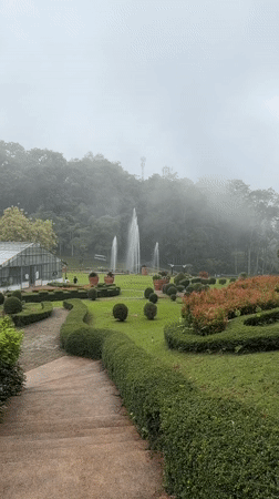 Pong Yaeng, Thailand