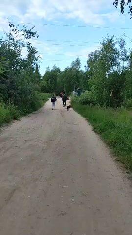 A dirt road is seen with people and animals walking down it. Two individuals, a female and a male, are walking side-by-side with a small black dog on a leash. The female is wearing a dark hoodie and grey shorts, while the male is wearing a dark jacket and dark pants. A motorcycle with a person in a red shirt is further down the road. The road is flanked by green trees and foliage. The sky is blue with scattered white clouds.
