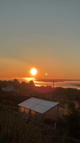 A static vertical shot shows a sunrise over a rural landscape. The sun, a bright orange orb, is positioned in the center of the frame, above a distant, hazy body of water. Mist hangs low over the distant land and water, illuminated by the golden light of the sun. In the foreground, a greenhouse with a clear, sloped roof is visible, partially obscured by tall grasses and greenery in the bottom left. Several small houses and structures are scattered across the midground and background, nestled among trees and hills. The sky is a gradient of orange, yellow, and light blue, with a faint lens flare visible to the right of the sun. The overall scene is peaceful and serene.