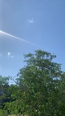 A video clip shows a bright blue sky with a few small white clouds. Sunlight streams in from the left side of the frame, creating a lens flare effect. In the center and right of the frame, the upper branches and dense green foliage of a deciduous tree are visible. A small portion of a building or structure with a tiled roof can be seen behind the tree on the left. The camera angle is looking upwards towards the sky and the top of the tree.
