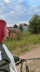 Pink hair, fluffy dog, slow afternoon in Chaikovsky