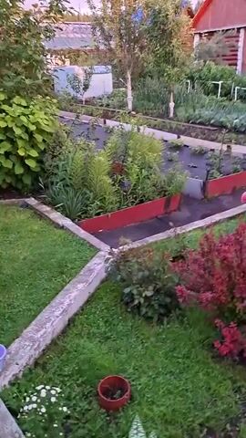 The video pans across a garden with several raised beds and pathways. The garden is lush with green foliage, including bushes and flowering plants in various colors, such as red, pink, and yellow. Two pink flamingo lawn ornaments are visible in one of the garden beds. In the background, there are two wooden structures, one resembling a small house with a ladder leaning against it and another that appears to be a shed or outbuilding with an open doorway. A greenhouse with glass panels is situated to the right of the wooden structures. The sky above is a soft pink and orange, suggesting either sunrise or sunset. The overall impression is of a well-maintained and colorful garden on a peaceful evening or morning.