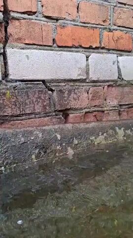 The video shows a brick wall with water at its base. The brick wall is made of red and white bricks. The water is murky and shallow, with some debris floating on the surface. There is a concrete curb along the base of the wall where the water meets. The camera is static and focused on the wall and water. The scene appears to be outdoors.