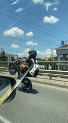 Traffic scenes and motorcycle stunt captured under Sofia overpass
