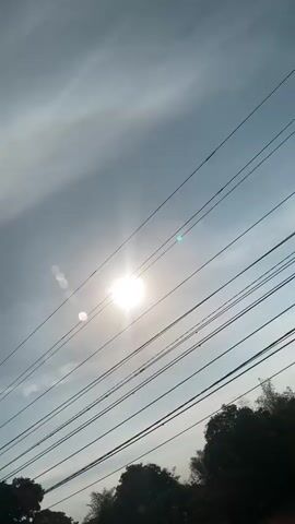 The video shows a sunny sky with the sun appearing bright and slightly obscured by thin clouds. Overhead power lines stretch across the frame. In the foreground, the silhouettes of trees and foliage are visible against the sky, some with leaves that appear to be rustling. The perspective suggests the video was filmed from a moving vehicle, possibly a car, as the trees and power lines shift in relation to the sky. The overall atmosphere is bright and airy, with a slight lens flare from the sun. The audio consists of muffled speech, seemingly a conversation in Indonesian, with timestamps indicating speech at 00:00, 00:01, 00:02, 00:03, and 00:04. The content of the speech is not discernible due to low volume and muffling.