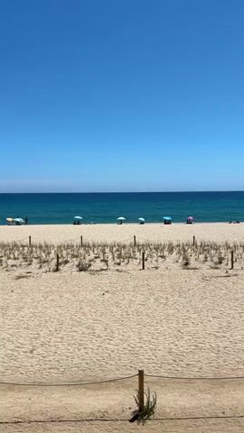 This is a vertical, eye-level, outdoor shot of a sandy beach on a clear, sunny day. The sky is a vibrant, cloudless blue. The ocean is a deep turquoise, meeting the horizon. In the distance, along the shoreline, several colorful beach umbrellas are visible. Some of these umbrellas appear to be set up on the sand, and a few people can be seen near them. Closer to the foreground, a line of sand dunes with sparse vegetation is visible, demarcated by wooden posts and a thin rope barrier. The sand in the foreground is light brown and textured. The overall scene conveys a peaceful, summery atmosphere.