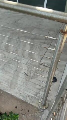 A small lizard with a striped pattern on its back walks along a horizontal cable. The lizard is light brown with a darker stripe down its back and a thin tail. The background is a tiled surface with a marbled pattern. The cables are made of metal and are spaced evenly apart.