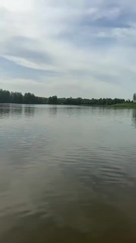 The video shows a calm body of water with ripples on the surface, reflecting the sky. The opposite shore is lined with trees and some grassy hills. The sky is partly cloudy. A utility pole is visible on the shore.