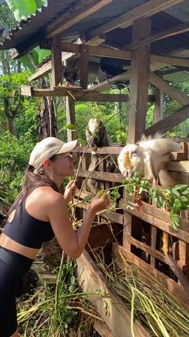 A woman in a black sports bra and black leggings stands in front of a wooden goat pen with a metal roof, holding leafy branches for two goats inside. The goat in the front is light colored and eats from the branches. The goat in the back is darker and observes. The surrounding environment is lush with greenery. The woman is smiling.