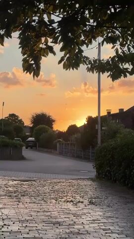 This is a vertical, short video. The video starts by showing an empty paved pathway that transitions into a street. In the middle of the pathway, there is a black, metal, pole that stretches up out of frame. In the background, there is a black car driving down the street. The street is lined with hedges and fences. In the distance, there are houses with chimneys visible. The sky is a vibrant orange, typical of a sunset, with a few scattered clouds. The sun is partially visible behind the trees, creating a beautiful silhouette effect. The trees in the foreground are dark green and lush, and their leaves are visible at the top of the frame. The light from the sunset casts a warm glow over the entire scene.