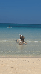 Sunny morning at a Philippine beach: paddleboarding, swimming, shoreline views