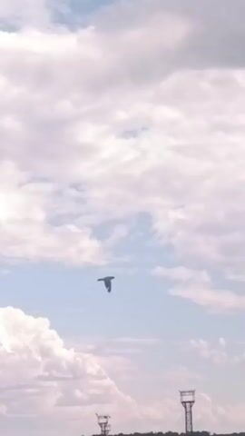 A bird flies in the sky past some clouds. Below the sky are some structures and trees.