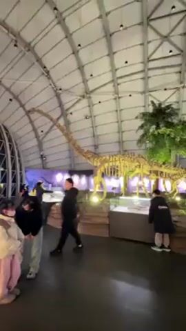 Inside a large, well-lit building with a high, arched metal ceiling, the video shows a dinosaur exhibit. A full skeleton of a long-necked dinosaur stands prominently in the center, surrounded by artificial trees and displays. Several people, including adults and children, are present, observing the exhibits. Some are looking at displays while others walk past. The overall atmosphere appears to be one of quiet observation and interest in the dinosaur exhibit.