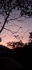 Twilight sky captured by witnesses in Vallecito, Venezuela