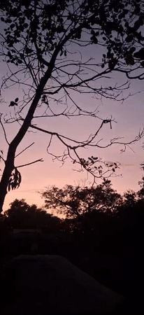 Twilight sky captured by witnesses in Vallecito, Venezuela