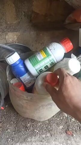 A person's hand reaches into a bucket containing several plastic bottles, one of which is blue with a white cap, and another is white with a red cap. The hand then lifts out a white plastic bottle with a red cap. The label on this bottle is visible, displaying text and graphics. The bottle appears to contain a liquid. The background consists of rough, textured wall and the ground.