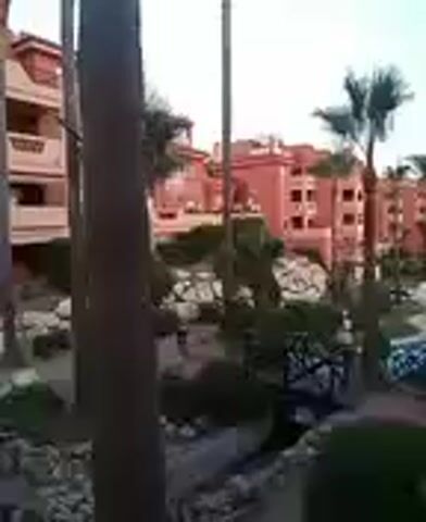 A palm tree is in the foreground to the left. Behind it, a resort with several pink buildings and palm trees is visible. A swimming pool is in the center of the resort.