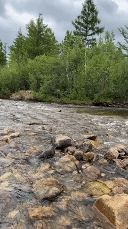 Survey gear and river scenery along a remote Russian riverbank