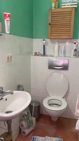 The video shows a bathroom. On the left is a sink with a faucet, a roll of toilet paper, and a toilet brush. Next to it is a toilet with the lid up. On the wall above the toilet is a silver flush plate. To the right of the toilet, a towel hangs on a rack. On a shelf above the toilet, there are bottles of toiletries and cleaning supplies. On a wooden cabinet above the shelf, there are tubes of toothpaste and other items. The walls are tiled in white and the upper portion of the walls is painted green. The floor is tiled with terracotta-colored tiles.