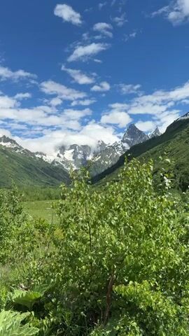 A video shows a scenic view of snow-capped mountains under a blue sky with white clouds. The foreground is filled with lush green foliage and vegetation, with some trees and bushes obscuring the view of the lower slopes of the mountains. The camera appears to be stationary, capturing a static panorama of the natural landscape. There are no people or animals visible in the video. The lighting suggests it is daytime, likely with bright sunlight.