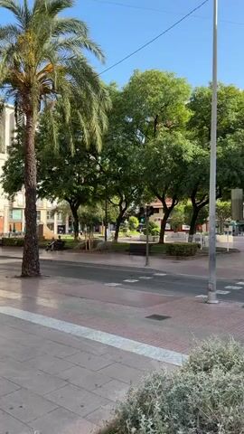 The video shows a street scene with a sidewalk, a road, and a park area with trees. A palm tree is visible on the left side of the frame. In the park, there are benches and people sitting. A traffic light for pedestrians is visible, with the green walking figure illuminated. Buildings are visible in the background. The sky is clear and blue.