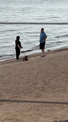 Two people and a dressed-up dog on a St. Petersburg beach
