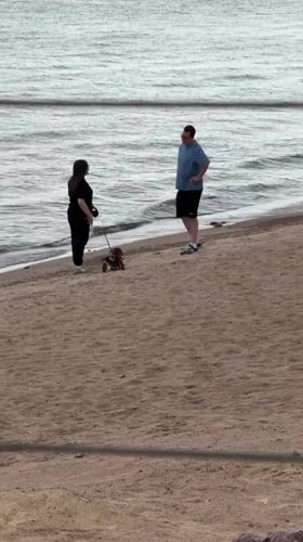 Two people and a dressed-up dog on a St. Petersburg beach