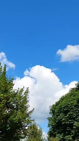 The video is a vertical shot of a bright blue sky with fluffy white clouds. On the left and right sides of the frame, the tops of lush green trees are visible, their leaves rustling gently. The sun is shining, creating a cheerful and serene atmosphere. There are no people or specific actions taking place in the video.