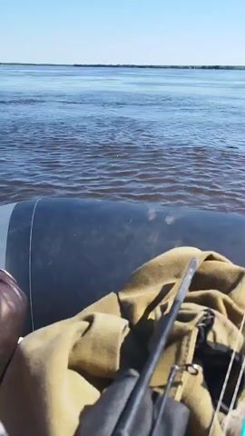 A first-person perspective video shows a person on a boat with a clear blue sky above. The boat's inflatable edge is visible in the foreground, along with a khaki-colored bag and two fishing rods. The boat is on a wide river with calm water, and the opposite bank is visible as a distant, flat horizon. The video captures the gentle movement of the boat as it travels across the water.