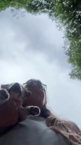 Morning dog walks and puppy time in Kediri