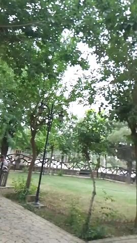 Here is a detailed description of the video:

The video shows a park scene on a likely overcast day. The camera pans from left to right along a paved walkway. Several trees with dense green foliage dominate the view, partially obscuring the sky. In the background, a man can be seen sitting on a bench. There is a street and possibly parked vehicles beyond a low wooden fence that lines the park.  Additional benches and decorative street lamps are placed throughout the park. Some bushes are situated alongside the walkway, adding to the greenery. The overall impression is of a peaceful and calm environment.