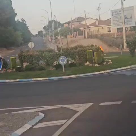 The video shows a view from a vehicle driving around a roundabout. The roundabout has a central island with manicured bushes, some small white flowers, and decorative rocks. Two tall, square-shaped bushes are prominent on the island, along with a circular blue and white roundabout sign. Beyond the roundabout, a street continues uphill, lined with trees and houses. There are some construction cones and an orange sign with a construction worker symbol visible in the background. The sky is overcast or hazy, giving the scene a soft light.