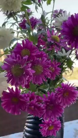 A bouquet of purple and white aster flowers is being rinsed under a faucet. The flowers are arranged in a black vase with a textured surface. Water flows over the flower petals and leaves. The background is blurred, suggesting an outdoor setting.