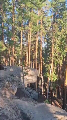 The video shows a person standing near a rock formation in a forest. The person is wearing a dark jacket and grey pants. The forest consists of tall pine trees and rocks. The sun is shining through the trees, creating shadows. The camera pans across the scene, showing the rocks, trees, and the person.