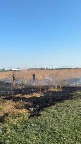 Two firefighters in protective gear are spraying water from hoses onto a burning field. The field is covered in dry, brown vegetation that appears to be partially burned, with patches of black ash. Smoke is visible rising from the affected area. In the background, there are some distant buildings and trees under a clear blue sky. The overall environment suggests an outdoor rural setting.