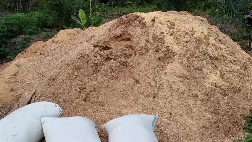 The video displays an outdoor scene filled with a large pile of wood chips. Three white sacks are positioned in the foreground, near the base of the wood chip pile. To the left, a banana tree with green leaves is visible. In the middle ground, a stack of wooden planks is leaning against a large log. Various logs and wooden pieces are scattered around the area, interspersed with more wood chips. In the background, there are more trees and vegetation, suggesting a natural or semi-rural environment. The overall impression is of a lumber or woodworking site.