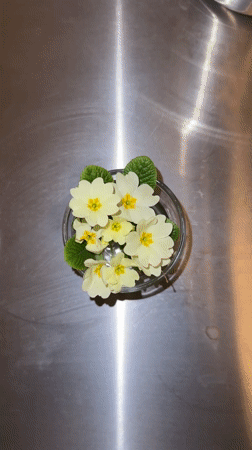 Domestic photography session captures household objects and digital messages