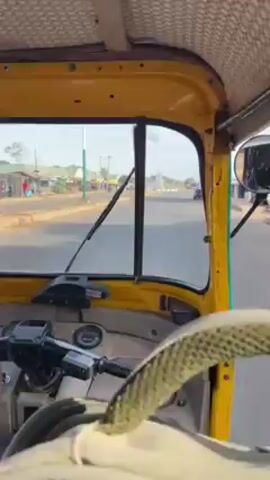 From inside a yellow auto rickshaw, a person wearing a white shirt and a black bag strapped across their shoulder drives the vehicle along a paved road. The windshield wipers are visible as the vehicle moves along the road. Buildings and people can be seen through the windshield, along with other parked auto rickshaws. The steering wheel has a green woven cover.