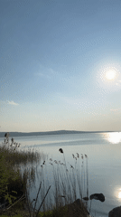 Peaceful lakeside scenes documented near Burgas on sunny afternoon