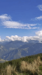Hilltop views across a forested mountain community on a clear day