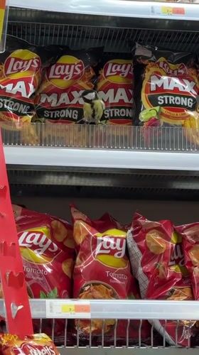 Wild Bird Found Perched in Supermarket Chip Aisle in Riga