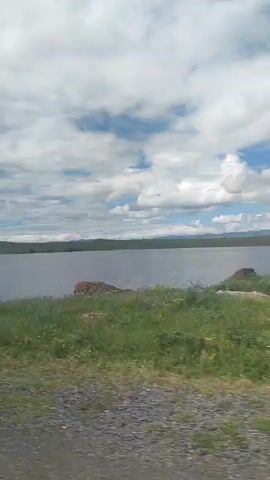 A video taken from a moving vehicle shows a wide, calm lake under a cloudy sky. The foreground consists of a gravel road and green grass with some yellow flowers. On the far side of the lake, a low, treeless horizon is visible. There are no people or animals visible in the frame.