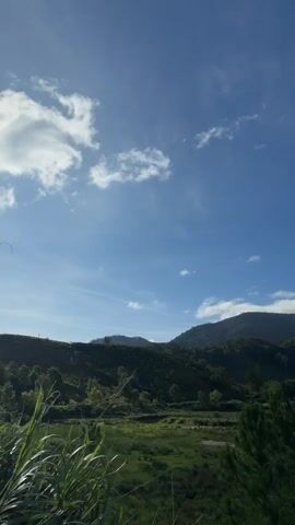 A vertical video shows a beautiful landscape with rolling green hills covered in lush trees under a bright blue sky with scattered white clouds. In the foreground, tall green grass and a pine tree are visible. A small stream or ditch runs through the grassy field. In the distance, several buildings with white roofs can be seen nestled among the trees. The sun is shining brightly, casting a warm light on the scene. The overall impression is one of natural beauty and tranquility.