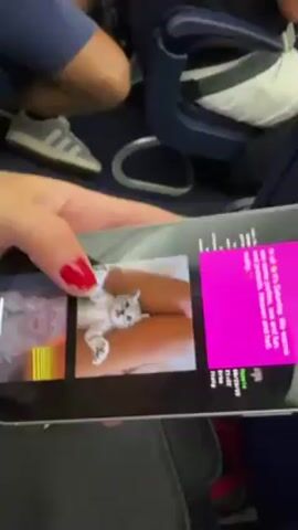 Here is a description of the video:
The video shows a person on an airplane holding their smartphone. On the phone screen is a photo of a small kitten lying between a person's legs. The phone displays some flight information and other data. The airplane's blue carpet is visible in the background, along with other passengers and parts of the seats.