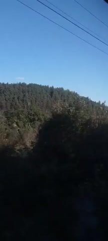 The video shows a view from a moving vehicle looking out at a densely forested hillside under a clear blue sky. In the foreground, there is foliage and vegetation. As the video progresses, a utility pole with wires becomes visible on the right side of the frame, against the backdrop of the forest. The sun appears to be shining, casting shadows and illuminating the landscape. The overall impression is of a scenic journey through a natural, undeveloped area.
