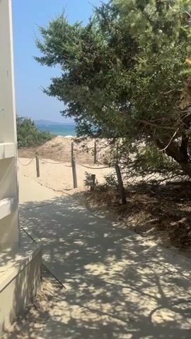 A sandy path leads toward a beach. The path is bordered by wooden posts and rope. Trees and vegetation flank the path, and the ocean is visible in the distance. The sky is clear and blue.