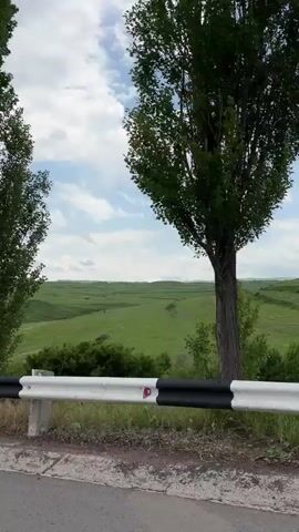The video shows a view of a green, rolling landscape seen through a gap in tall trees. A white and black guardrail runs along the bottom of the frame, separating a paved road from the landscape. The sky is blue with scattered white clouds. The camera appears to be moving, possibly from a vehicle, as the perspective of the trees and landscape shifts slightly throughout the short clip. There are no people or animals visible in the footage.