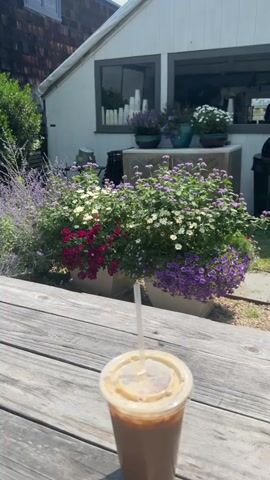 A clear plastic cup filled with a brown liquid and ice sits on a weathered wooden table in the foreground. A white straw extends from the cup. In the background, a white building with grey trim and windows is visible. In front of the building, a large arrangement of potted flowers is displayed. The flowers are a mix of purple, white, and dark pink. The scene appears to be outdoors on a sunny day.