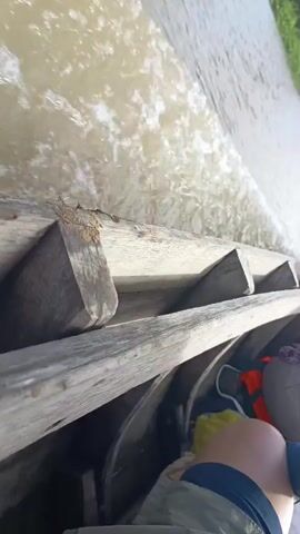 The video shows a first-person perspective from inside a boat moving through water. The boat has wooden sides and contains several objects, including what appears to be a life jacket and some folded fabric. A person's leg, wearing khaki shorts and a blue shirt, is visible in the foreground. The boat is creating a wake as it travels along a murky river. Lush green vegetation, primarily palm trees, lines the riverbank, and the sky above is blue with some scattered clouds. The camera is tilted at an angle, giving the impression of movement.